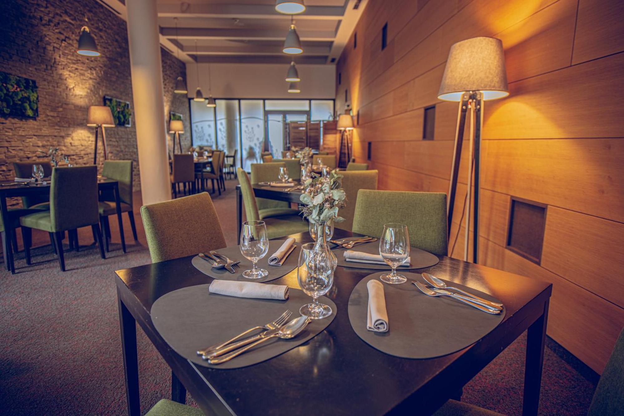 Wellness Hotel Vista Долни-Морава Экстерьер фото